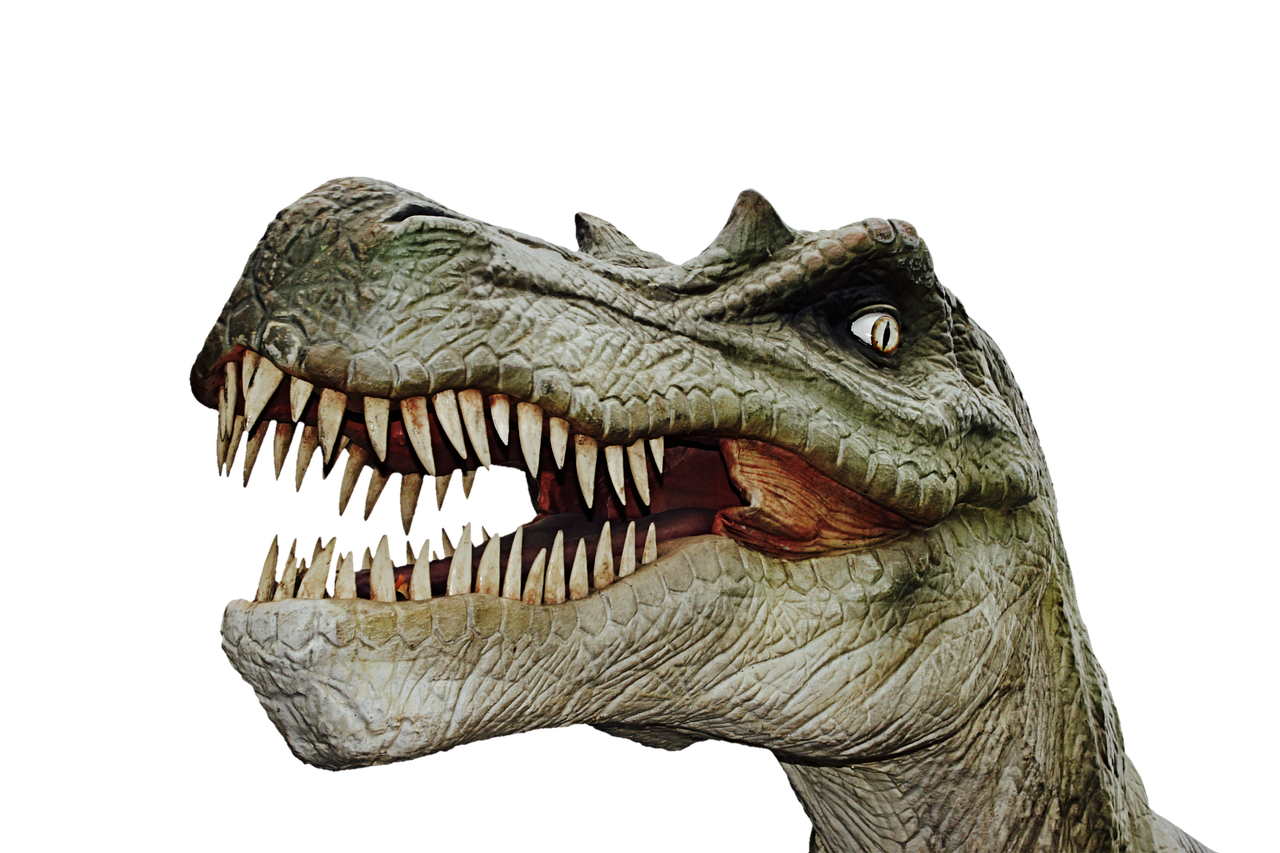 恐竜の頂点を決めよう!!【ティラノサウルスレース】あざいカルチャービレッジにて開催決定！