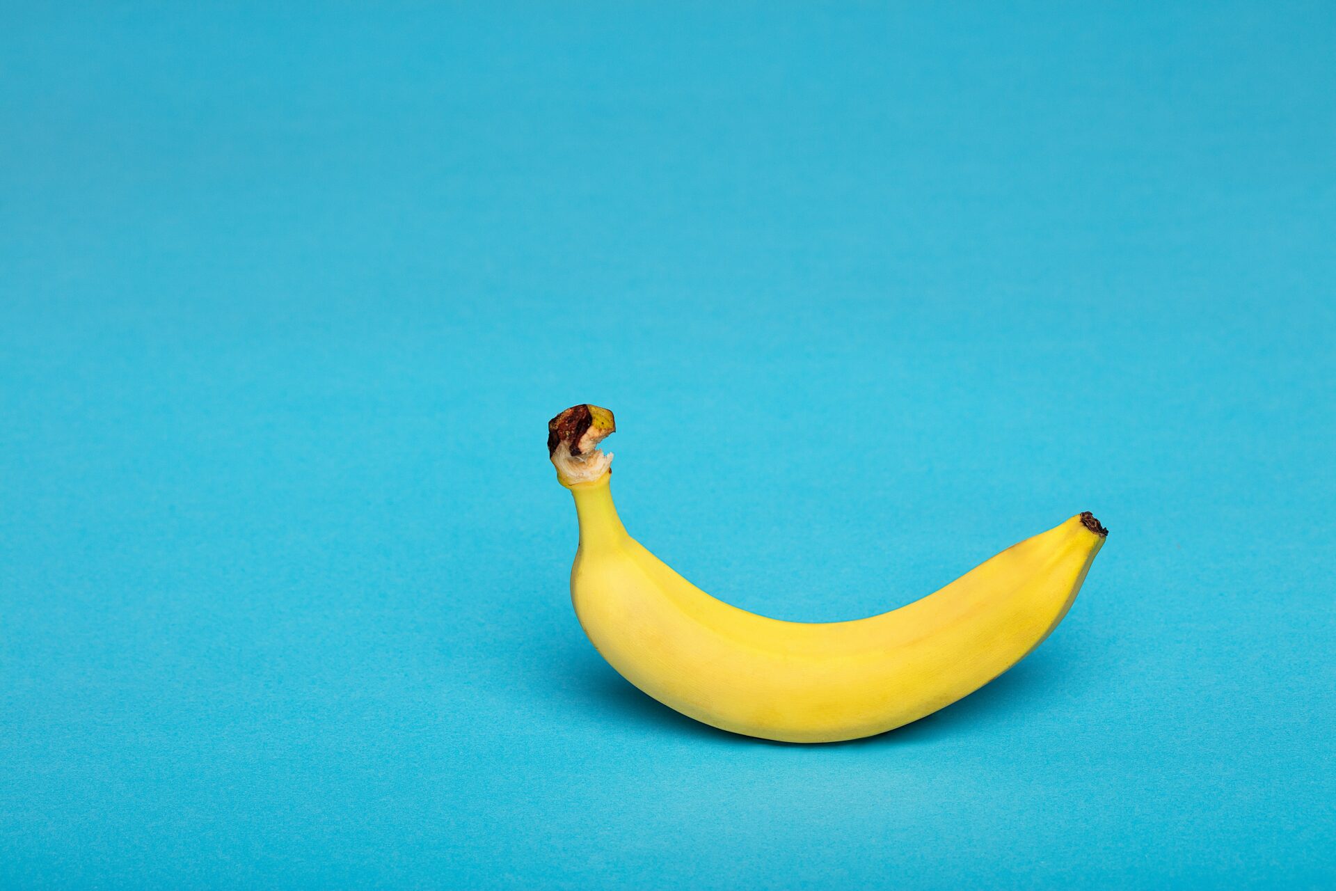 予約不要＆参加無料!!【GW イベント】大津市科学館で「バナナのひみつ」を探りませんか！？