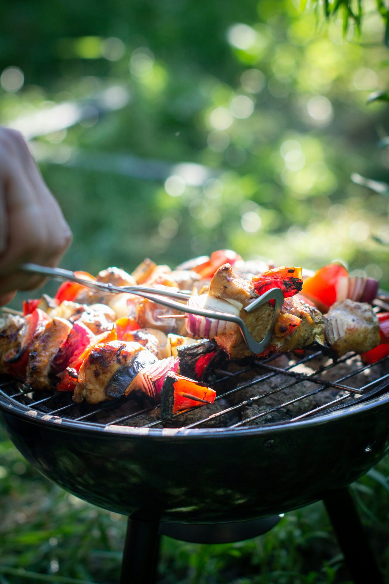 【入場無料】手ぶらでOK！石川県産の魚介をBBQで味わおう！大きな積み木で遊べる『木になる体験』も開催♪長浜市【4/14】