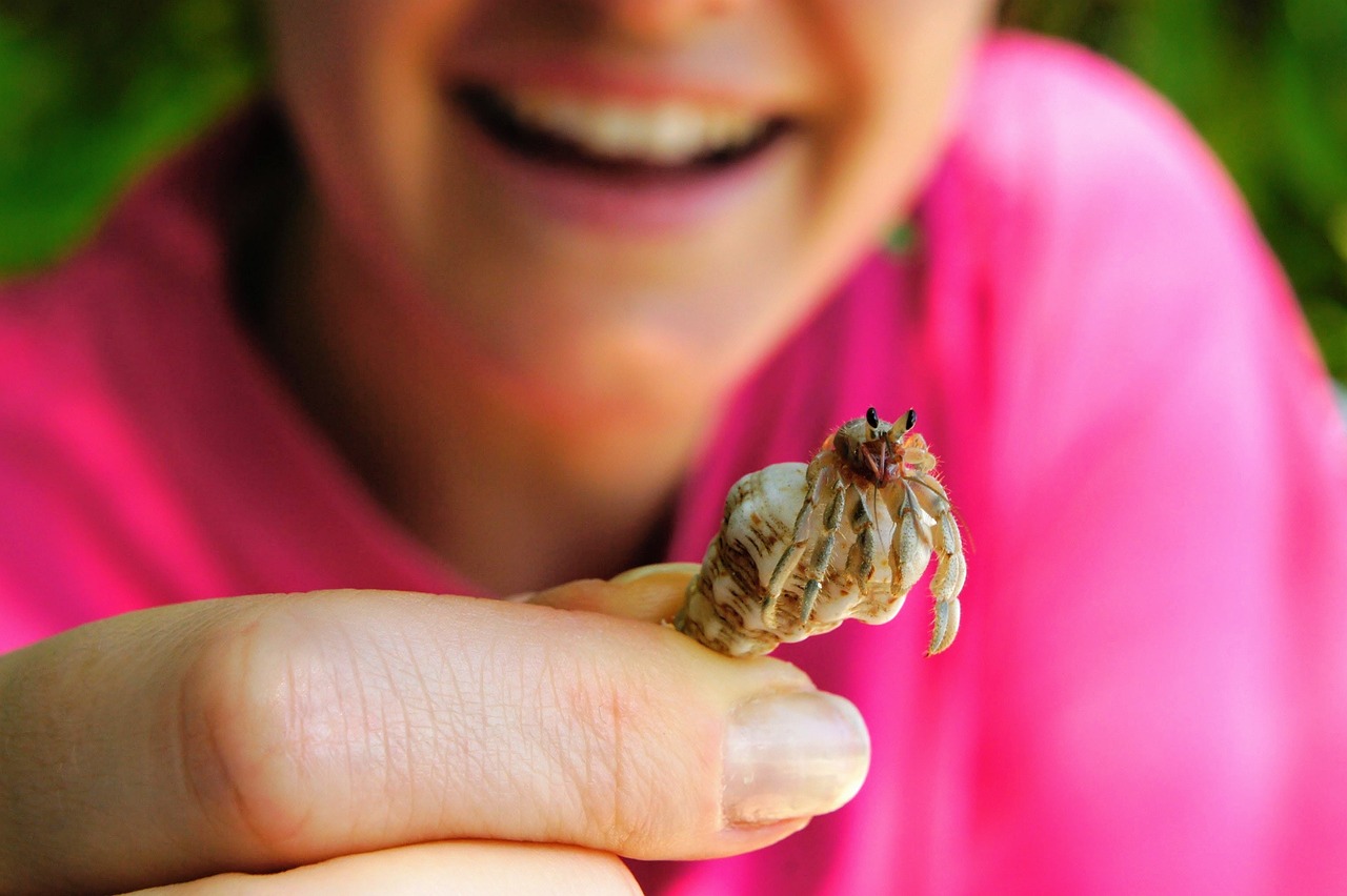 さぁ夏休みは湖探検を！船に乗って＆びわ湖に入って生き物を探す【琵琶湖博物館】わくわくイベント申込受付中！