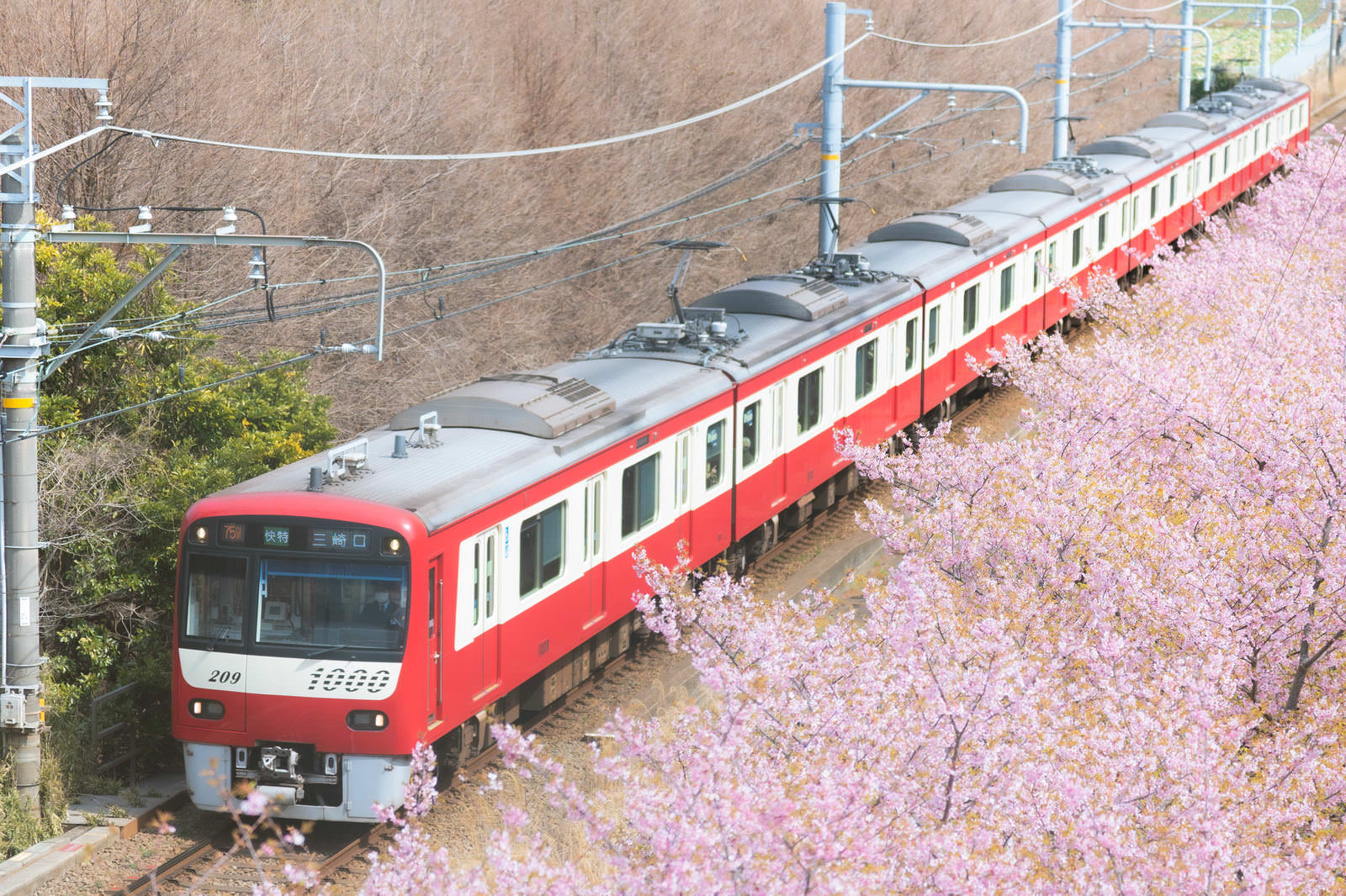 あなたの描いた作品が電車のヘッドマークになって走り出す！！【近江鉄道】