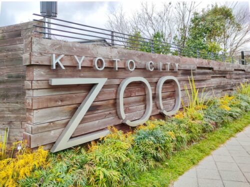 園内が素敵にライトアップ！探検ツアーや星空上映会も楽しめる☆京都市動物園「秋の夜間開園」開催★【10月12日・13日】