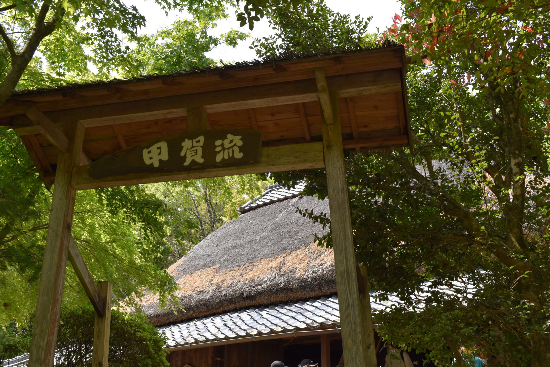 滋賀県で忍者キャンプ！？忍者修業、謎解き、BBQ、手裏剣など盛りだくさん！忍者の技術と知恵を駆使してキャンプしよう！