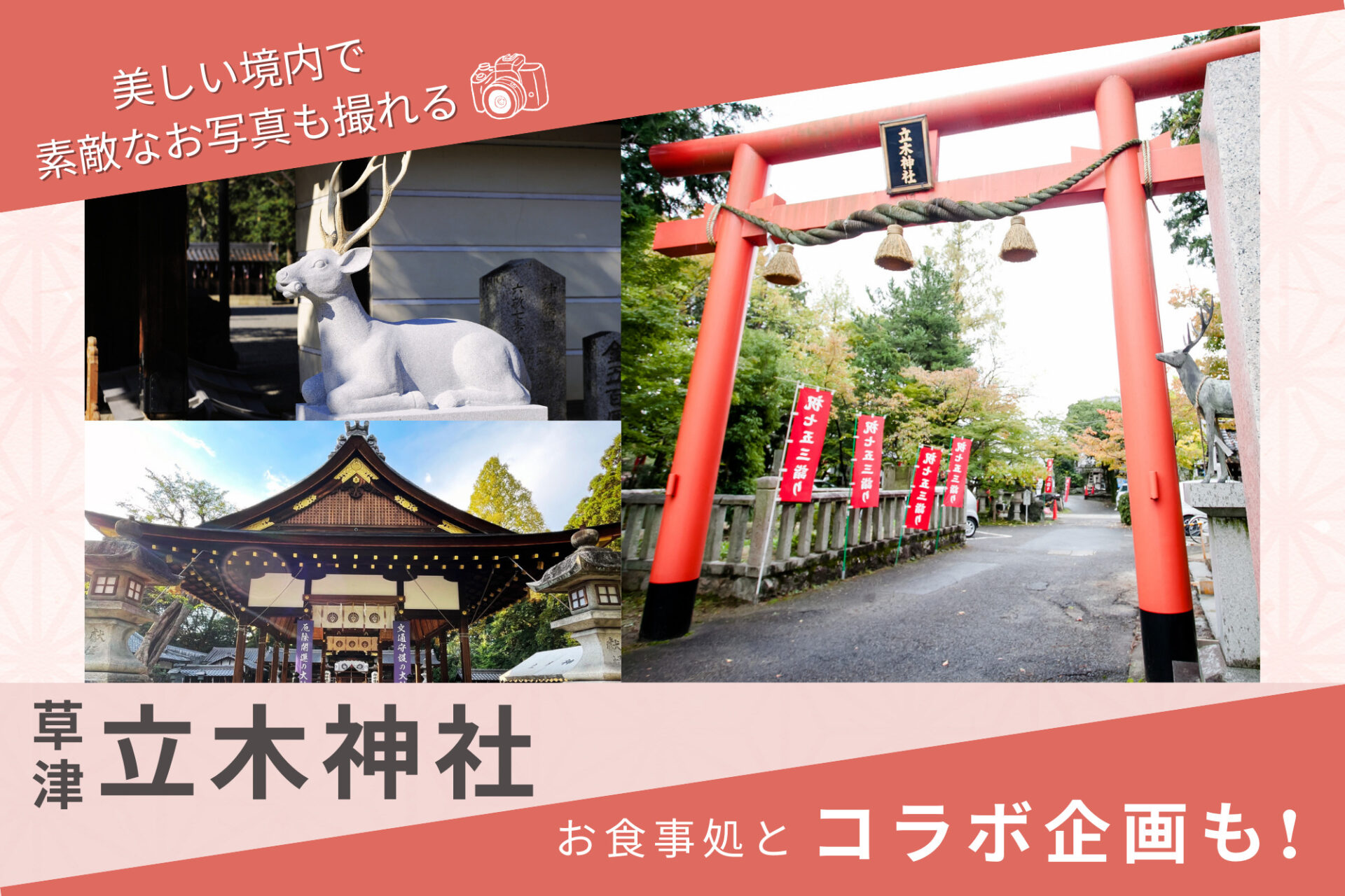 毎年、大好評の七五三企画を今年も開催！【立木神社×草津市内レストラン】お子さまのハレの日を最高の思い出にしよう♪