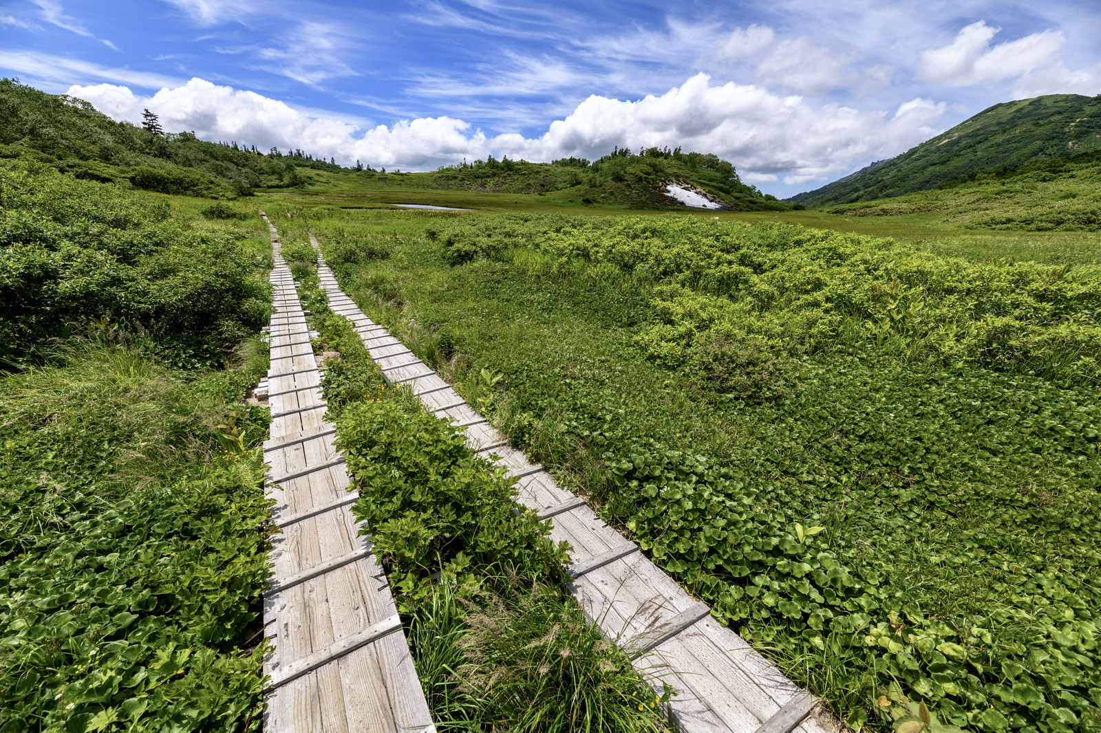 【国指定史跡】新緑のキレイな「清水山城館跡」へハイキング！【高島市】