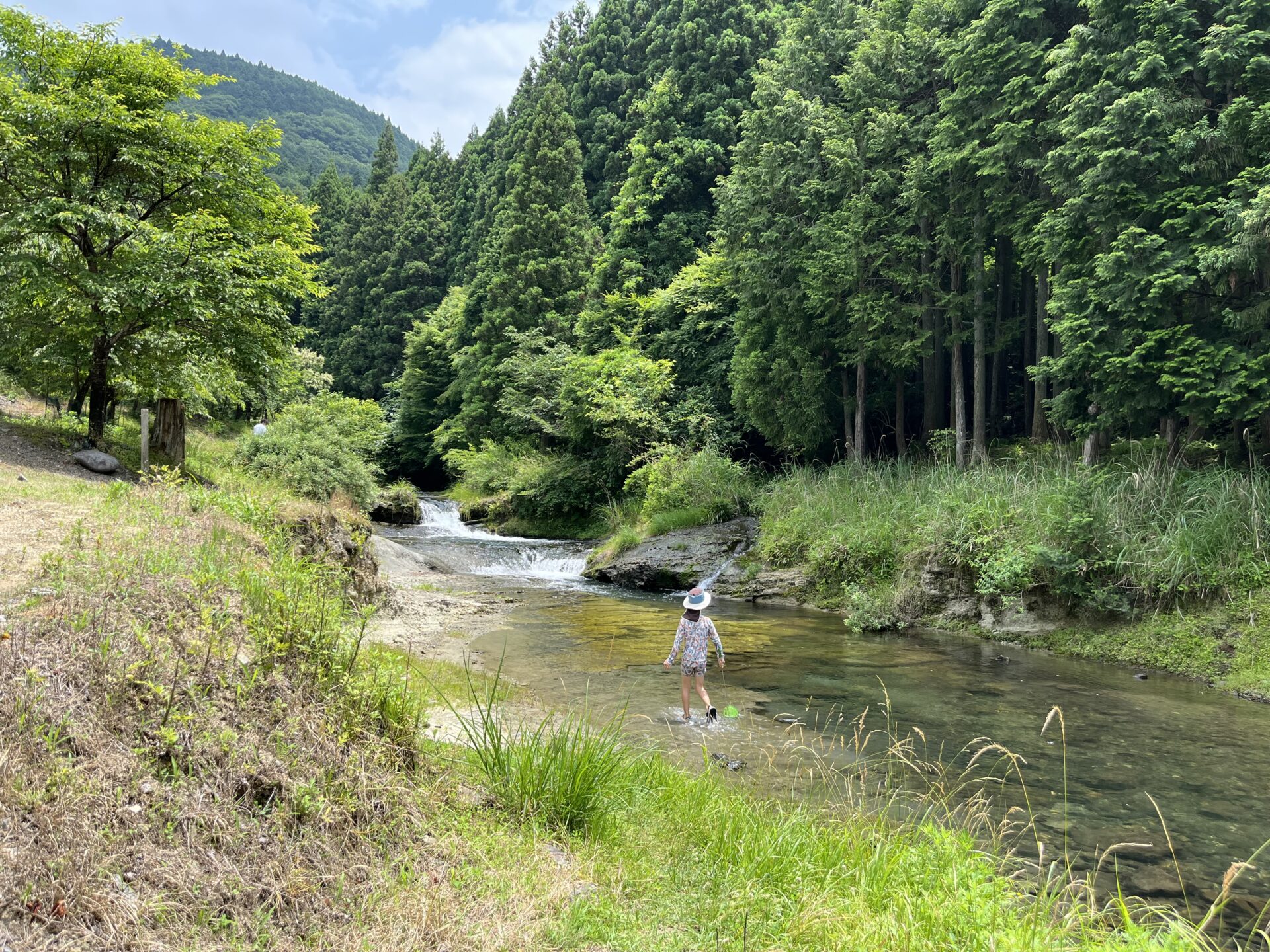 蛍が現れるきれいな川で川遊びに行ってきた♪清らかなうぐい川に癒されました。