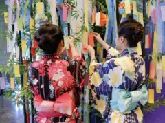 もうすぐ七夕の季節⭐︎七夕気分を盛り上げよう！「七夕飾りを作ろう」が栗東自然観察の森にて開催♪【7/5】