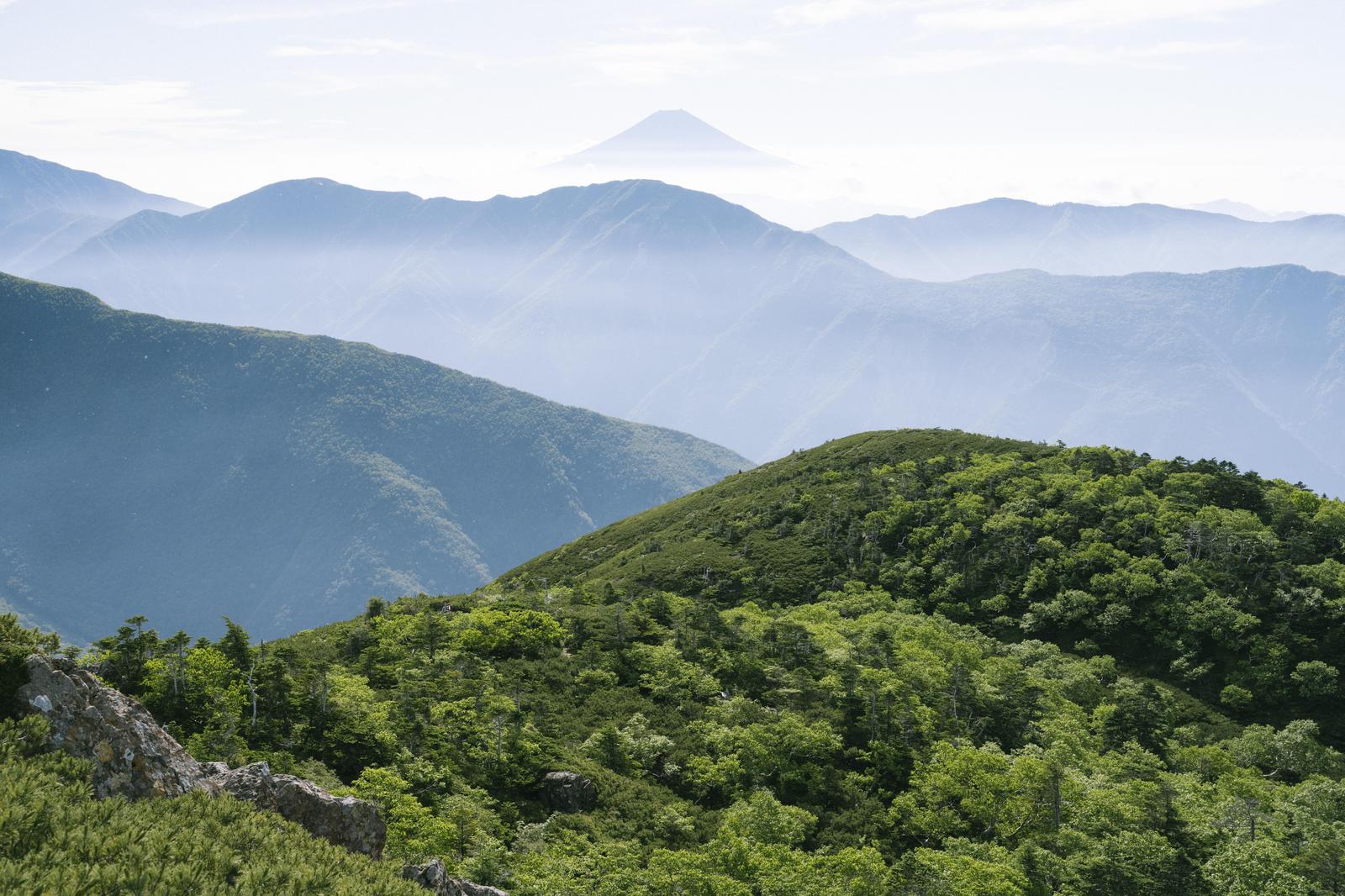 びわ湖源流の里山づくりフォーラム「びわこ雫の里山プロジェクト」