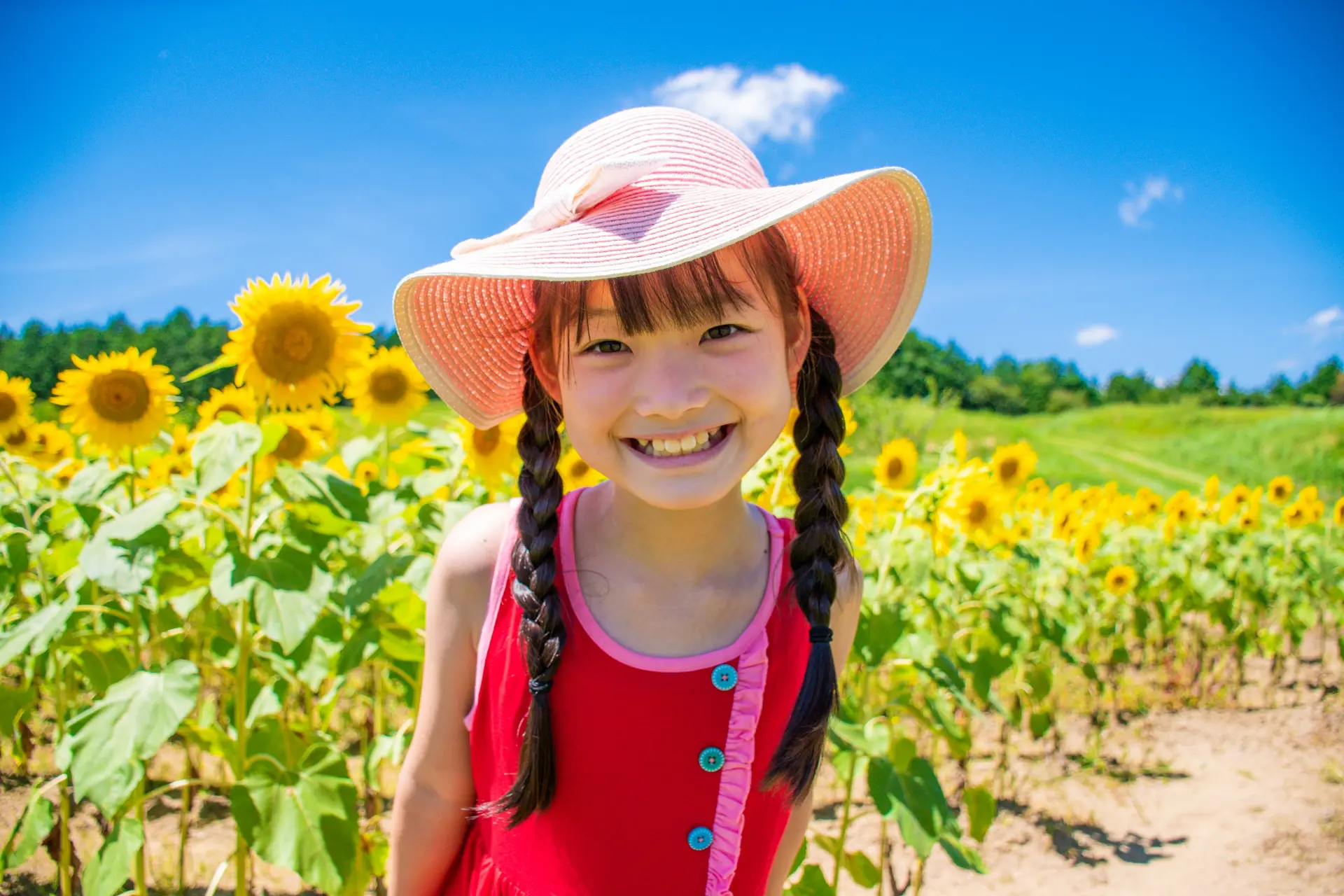 【守山市｜第1なぎさ公園】＜入場無料＞ひまわり畑が見頃に！2025年7月29日〜開園中♪