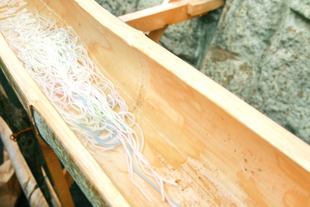 〈夏休み〉親子で自然を体感しよう！流しそうめん大会やお箸作り、食後のアイス作りも☆【湖南市雨山文化運動公園】8/24