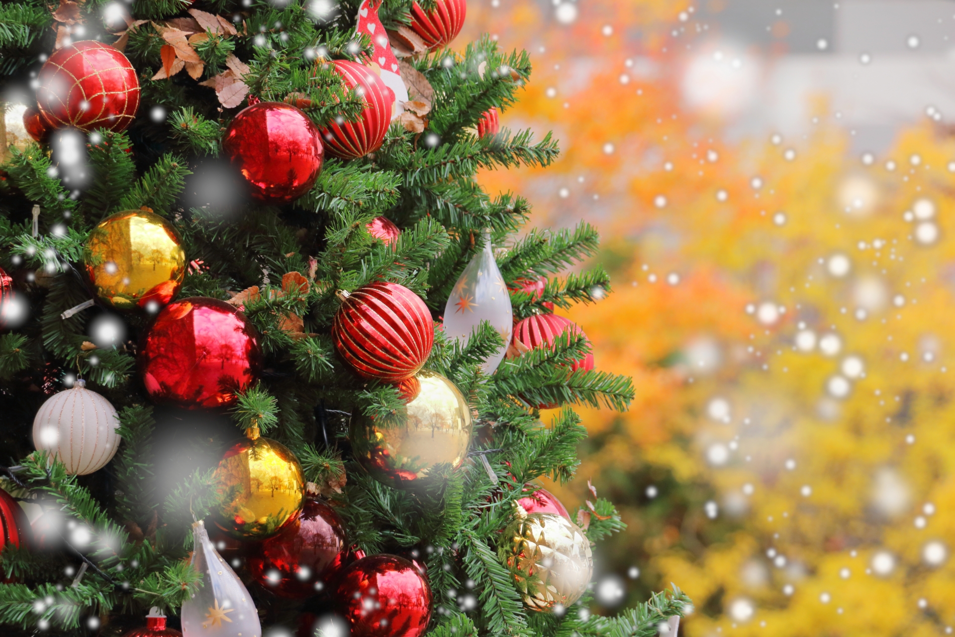 クラウン達による楽しいサーカス♪一般1000円・中学生以外500円で見られるよ!【コミカルクラウンサーカス「クリスマスショー」】　