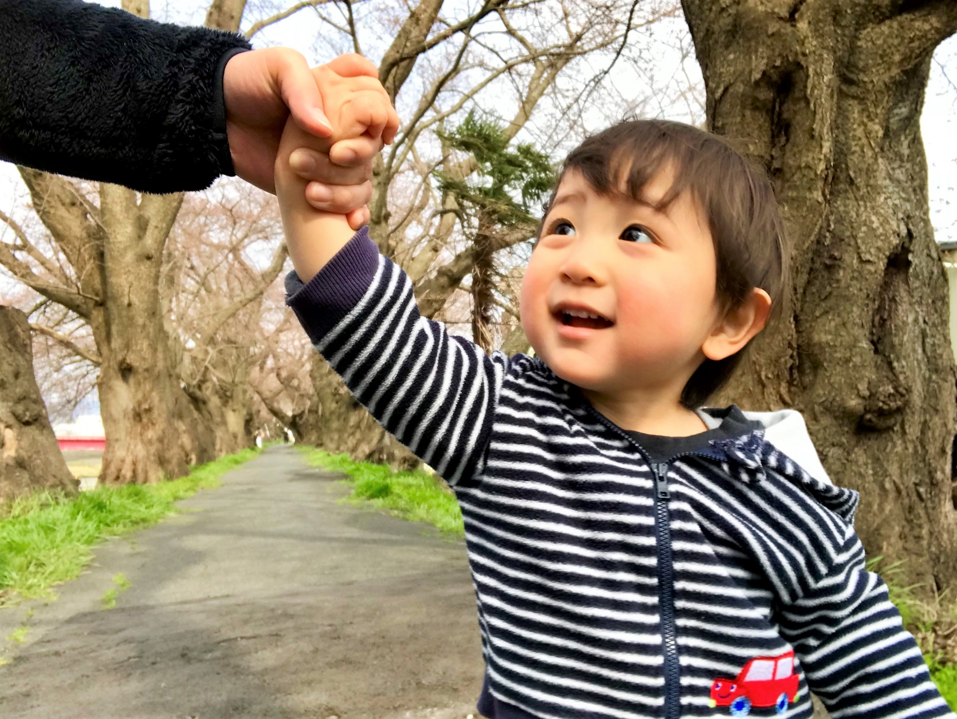 11/8、9【ピエリ守山に恐竜がやってくる！】写真撮影会＆化石発掘体験も♪親子で会いに行こう！