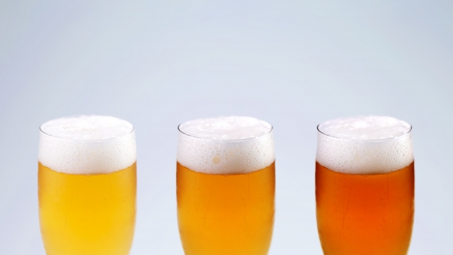 ビールだけじゃない！【オクトーバーフェスト綿向ビアホール】子どもから楽しめるグルメやダンスパフォーマンスも♪【日野町町民会館わたむきホール虹】〈10/25〉