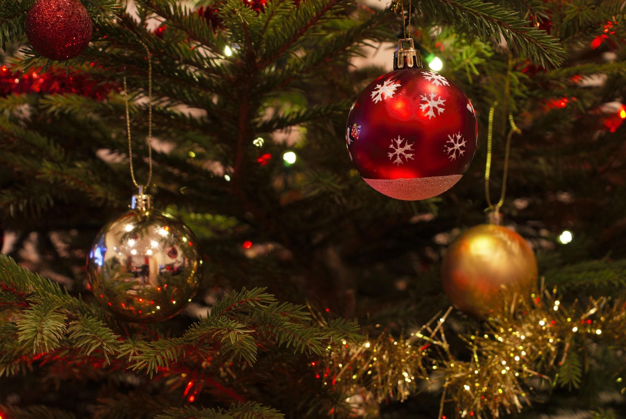 「彦根児童合唱団」が【クリスマスコンサート参加者を募集！】歌が苦手でも大歓迎♪対象は、年長さん〜高校生まで★