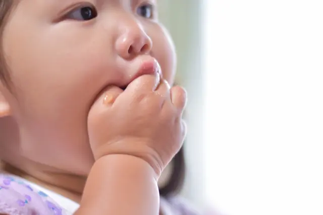 手で食べるってすごい！初めてセミナー「手づかみ食べモグモグ会」で“自分で食べる力”を育てよう【野玉歯科医院】
