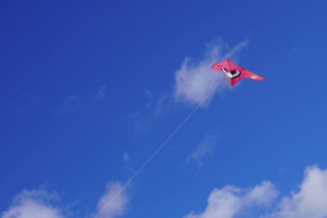 冬の大凧会館で楽しもう！サンタ凧・午（うま）の凧づくり・張り子体験など♪【東近江大凧会館】