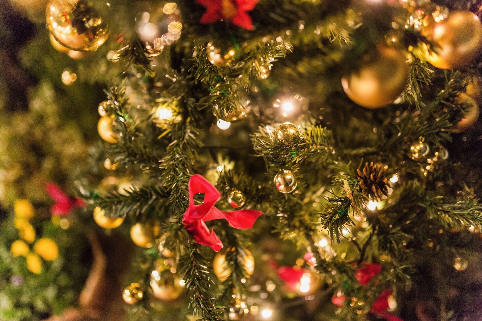 ひと足早くクリスマス気分♪草津クレアホールで無料のロビーコンサートが開催されます！12/6(土)