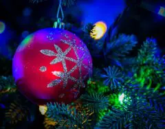 【無料】使っていないクリスマスオーナメントの交換会しませんか？「クリスマスガーデンマーケット」も開催♪de愛ひろばにて【12/6】