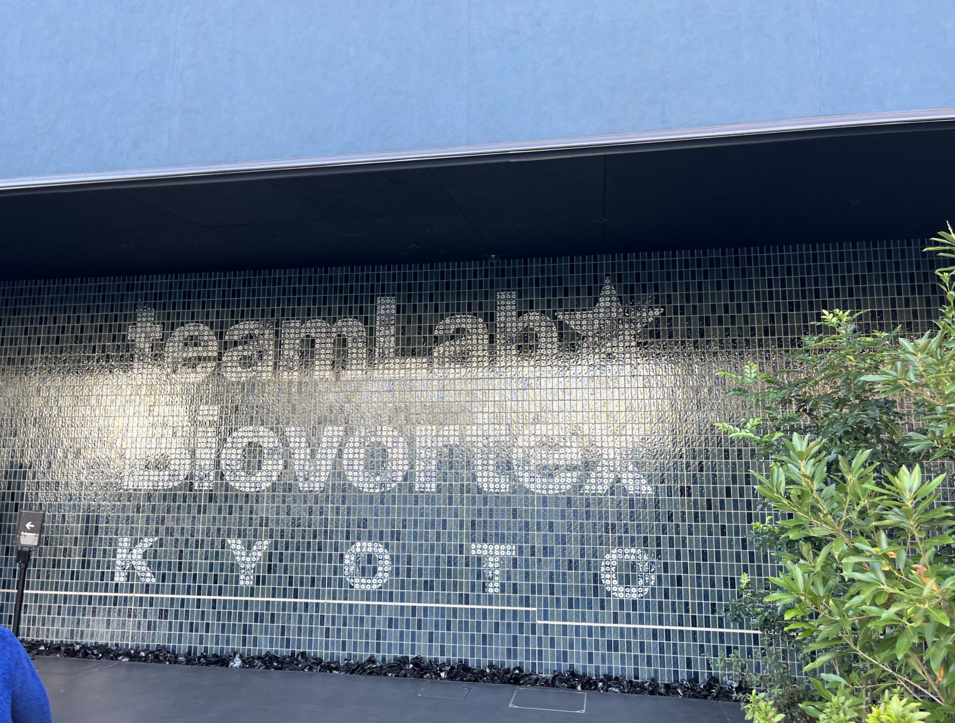 チームラボ　バイオヴォルテックス京都に行ってきた！京都駅から徒歩8分☆見て触れて体験するアートの世界へ