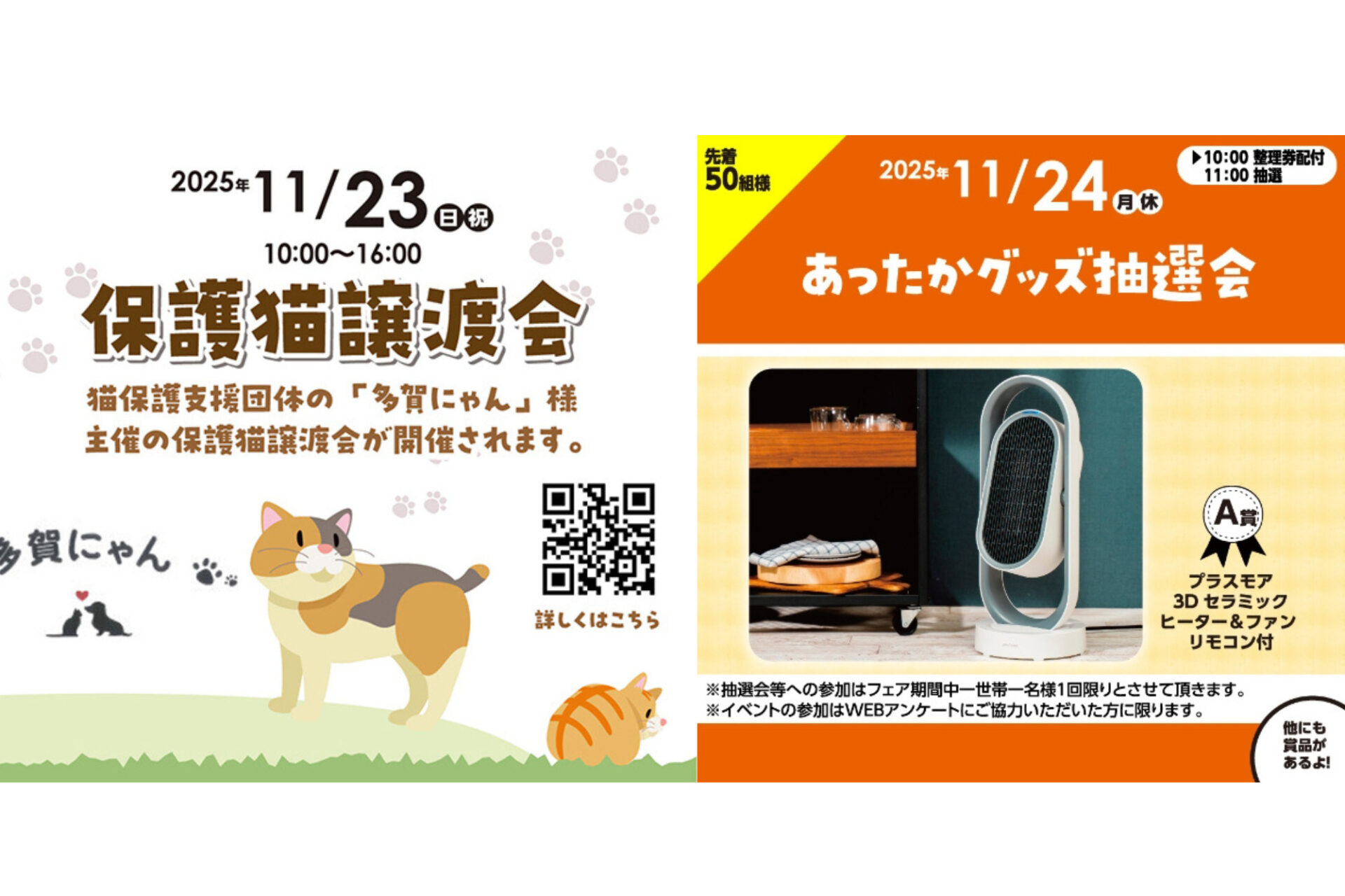 3連休はココで決まり♪11/23(日祝)保護猫譲渡会24(月休)あったかグッズ抽選会開催♪in近江八幡