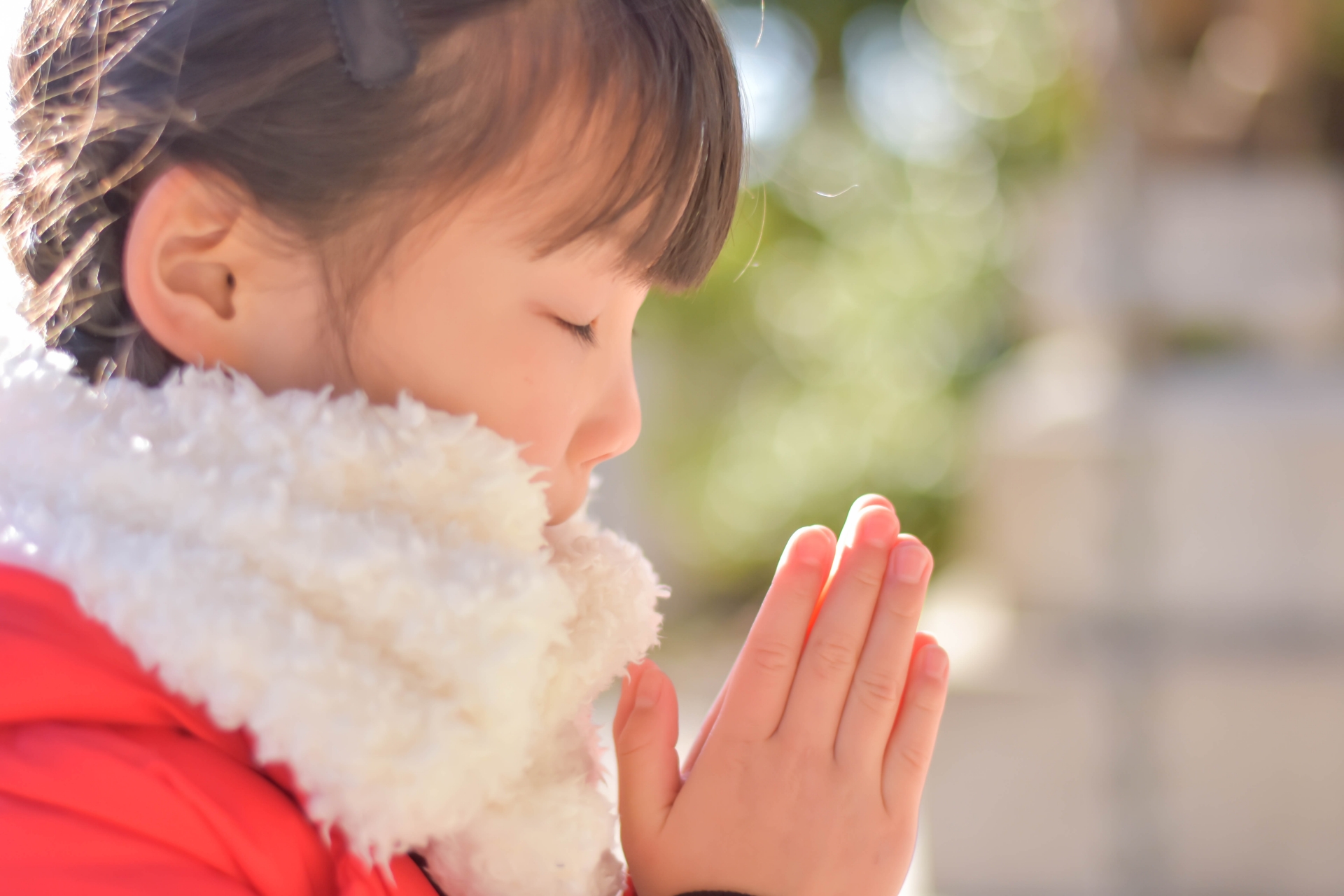 初詣は、船に乗って滋賀のパワースポットへ。【初詣クルーズ】が【1月1日〜5日】の期間限定で運行します。うれしいプレゼント付き♪