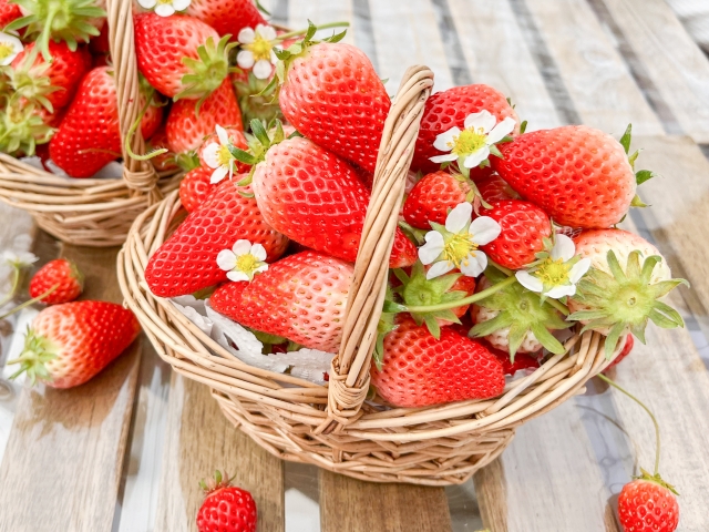 ご褒美デーにホテルのいちごビュッフェはいかが？特別なひとときを過ごそう♪　スイーツビュッフェ『苺の森のアトリエ』　琵琶湖ホテル　1/24～4/29　