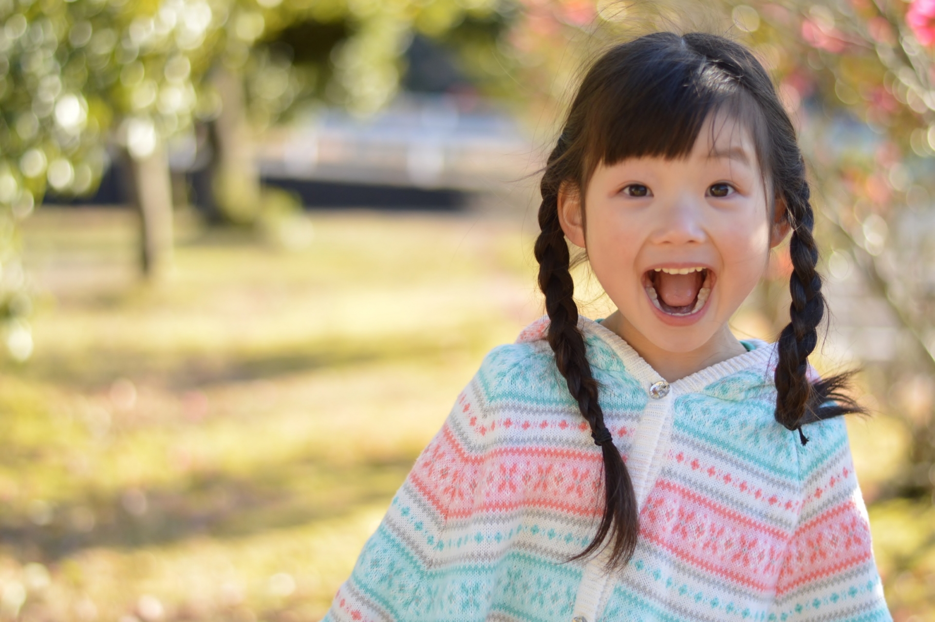 週末のお出かけに♪子連れで楽しめるプログラムがたくさん。【くさねっこの文化祭】が開催。