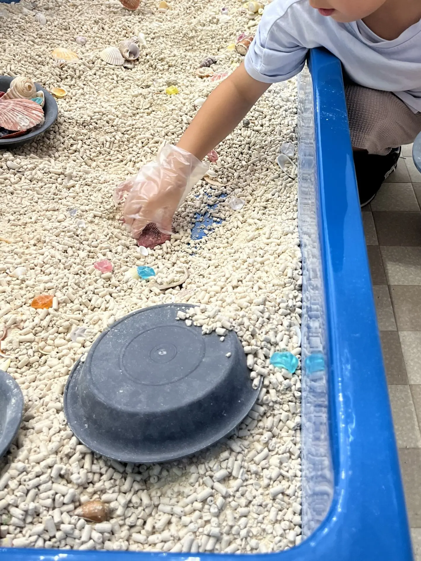 【12/6(土)・7(日)開催】知的好奇心を満たす2日間！「学べぇる水族館」がアル・プラザ草津に限定オープン！