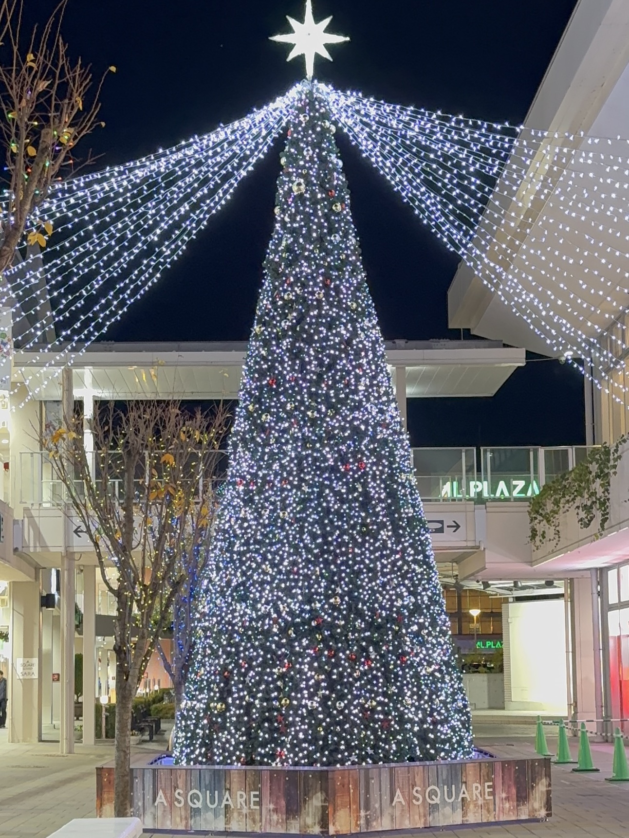 【草津市】世界のプレミアムワインが集結！エイスクエアで楽しむ試飲イベント「ワイン日和」が開催されます！