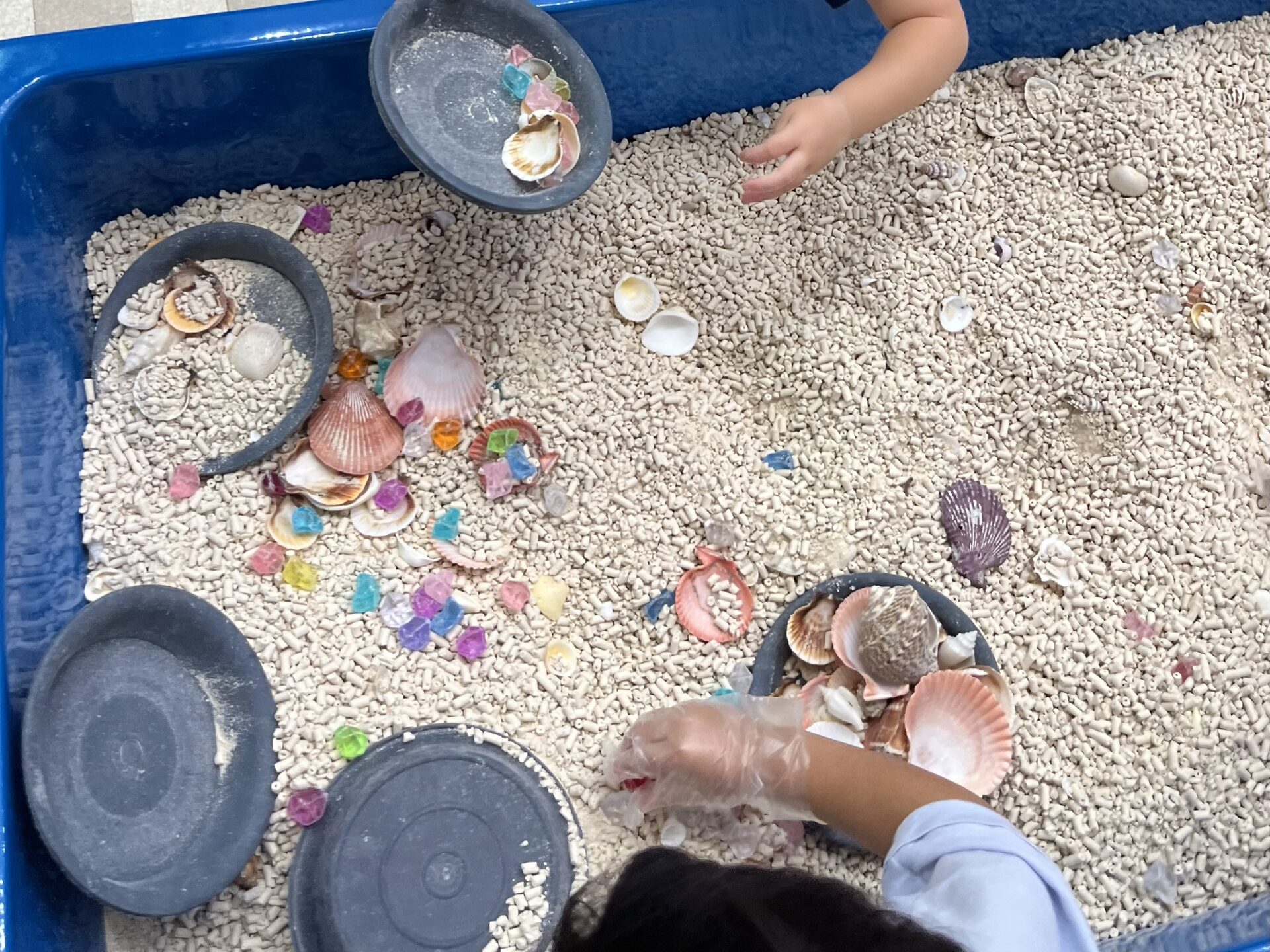 【12/6(土)・7(日)開催】知的好奇心を満たす2日間！「学べぇる水族館」がアル・プラザ草津に限定オープン！