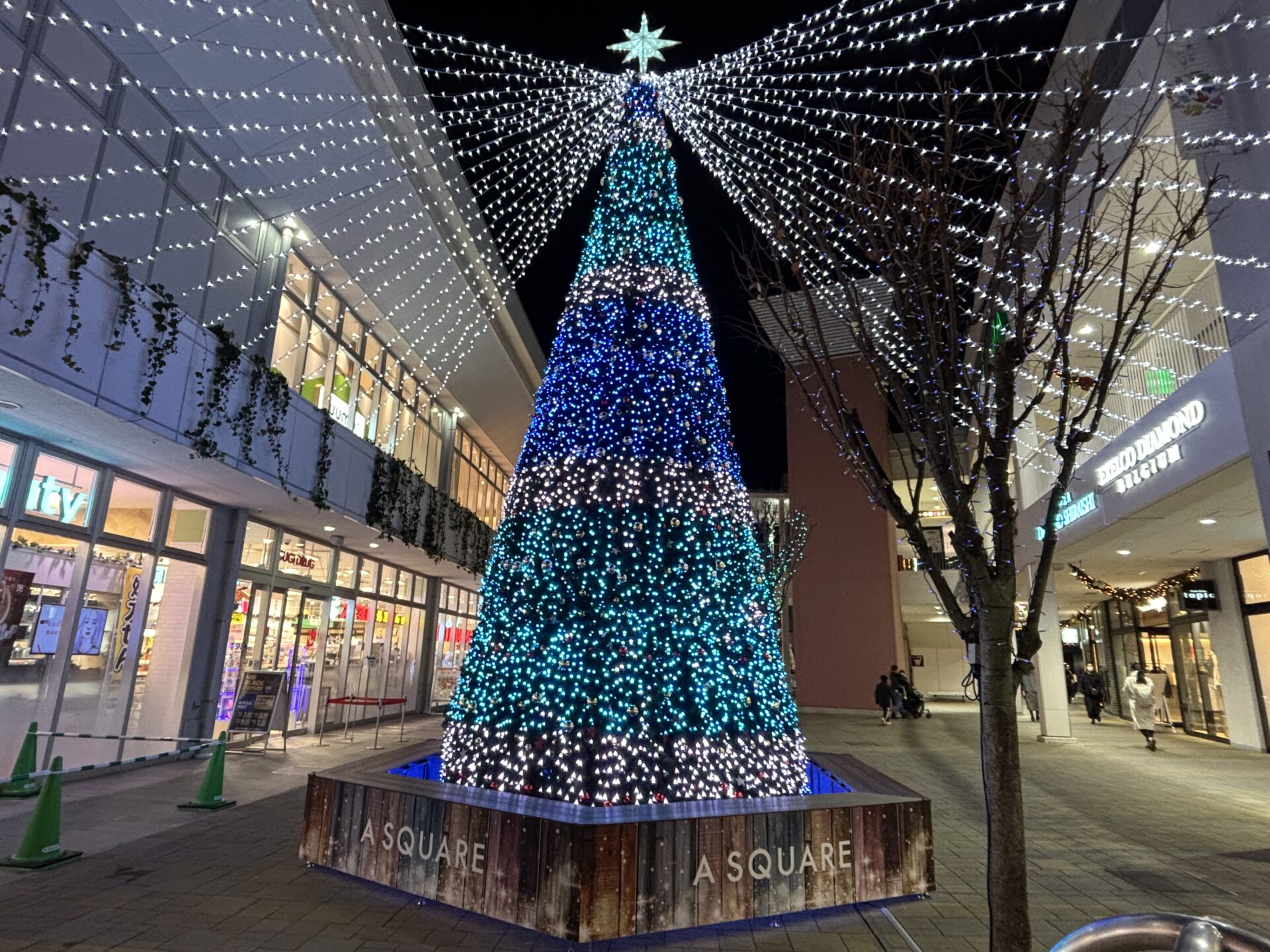 【滋賀県最大級の輝き】子連れでも安心！草津エイスクエアの「クリスマスイルミネーション」見に行ってきました！