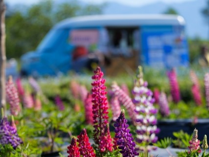 絶品グルメが勢揃い！1月31日はブランチ大津京「キッチンカーフェス」へGO