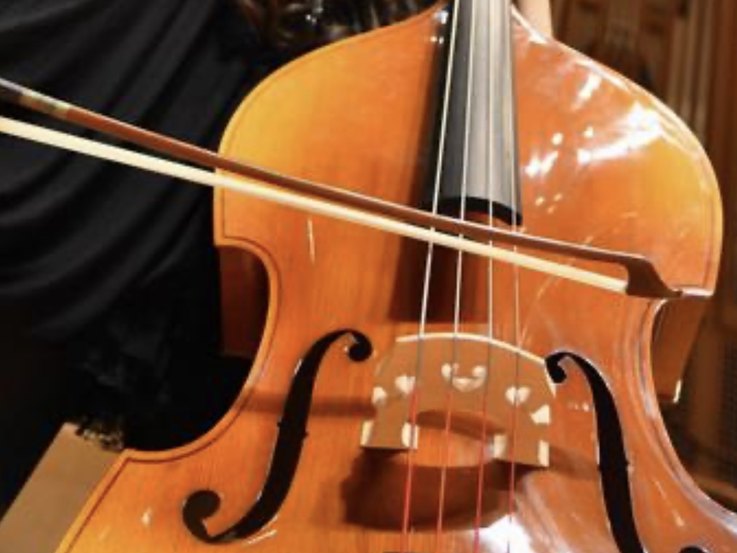 【入場無料】0歳から楽しめる本格オーケストラ♪草津クレアホールにて2/22(日)コンサートが開催されます！