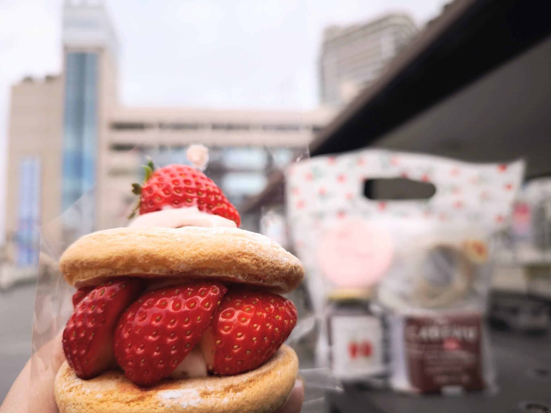 オープニングフェア開催中!イチゴの限定商品・朝摘み苺も!【行ってきました】1/28ニューオープン! 河西いちご園 草津近鉄店【滋賀 新店 2026】