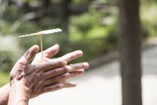 【参加費500円】国際竹とんぼ協会の先生から学ぶ！本格的な【たけとんぼ教室】飛行競争もあるよ♪