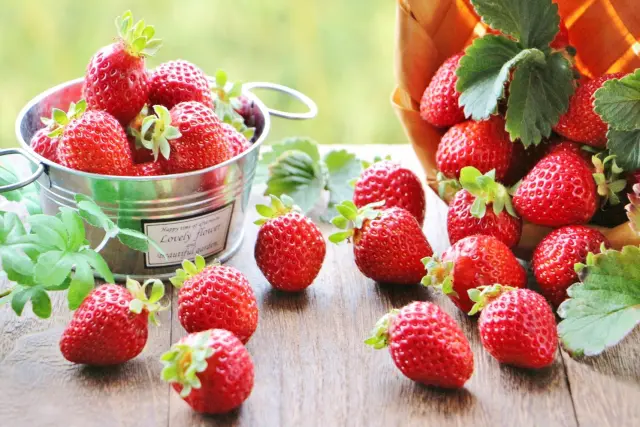 【東近江市】春のいちごフェス開催！絶品スイーツ＆ビンゴ大会★さらに注目の「琵琶湖キーホルダー」を探して限定特典をゲット！【3月21日/あいとうマーガレットステーション】