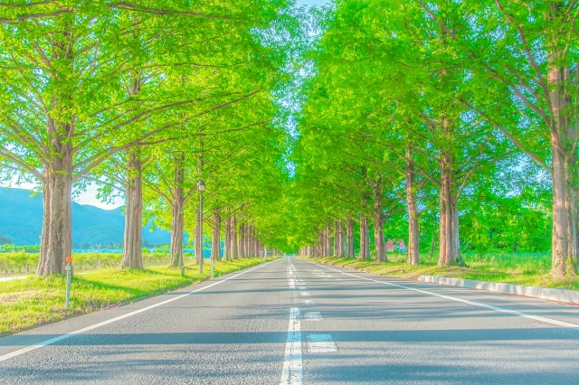 子ども100円で遊べる？！サンドイッチ作りにワークショップ、お祭りコーナーまで！「Namiki de 春まつり」開催★【3月8日/高島市】