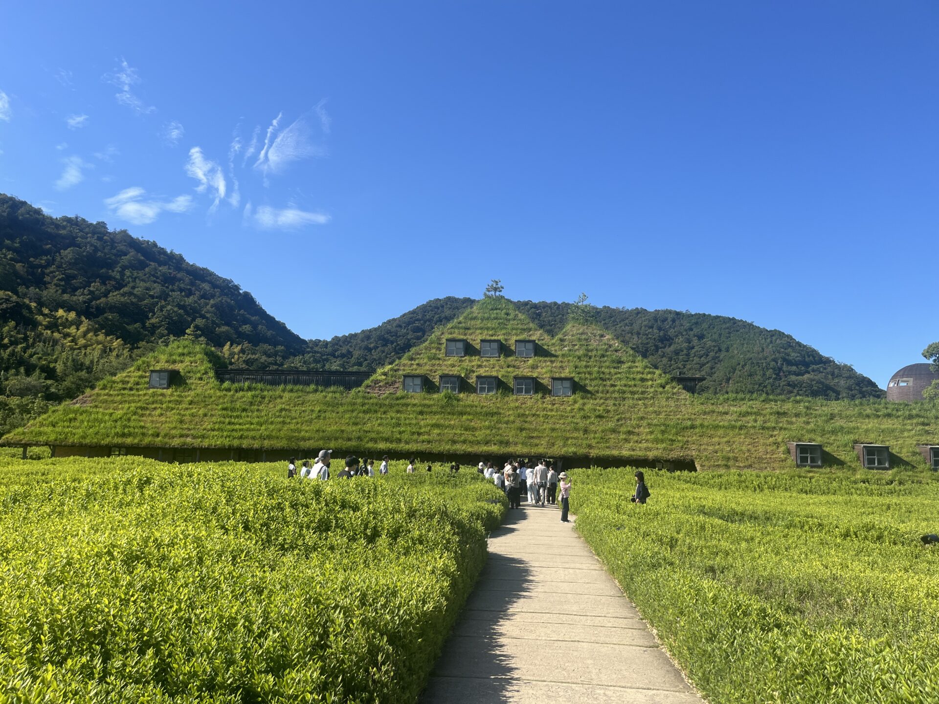 【国内外人気グルメが大集結】ラ コリーナ近江八幡で「たねフェスSpring」開催決定！矢場とん・千房など人気グルメや限定スイーツも！【3月13日〜15日】