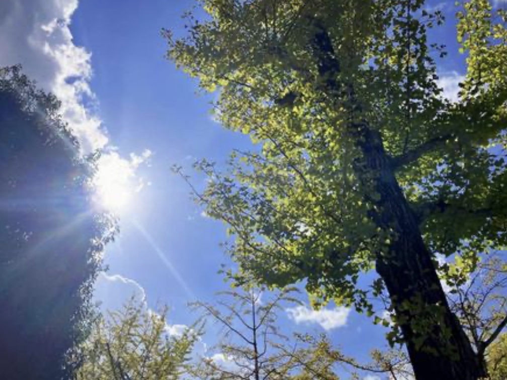 【草津市】3/1(日)アル・プラザ草津に「おひさま眼科」が開院！買い物ついでに通える地域のかかりつけ眼科