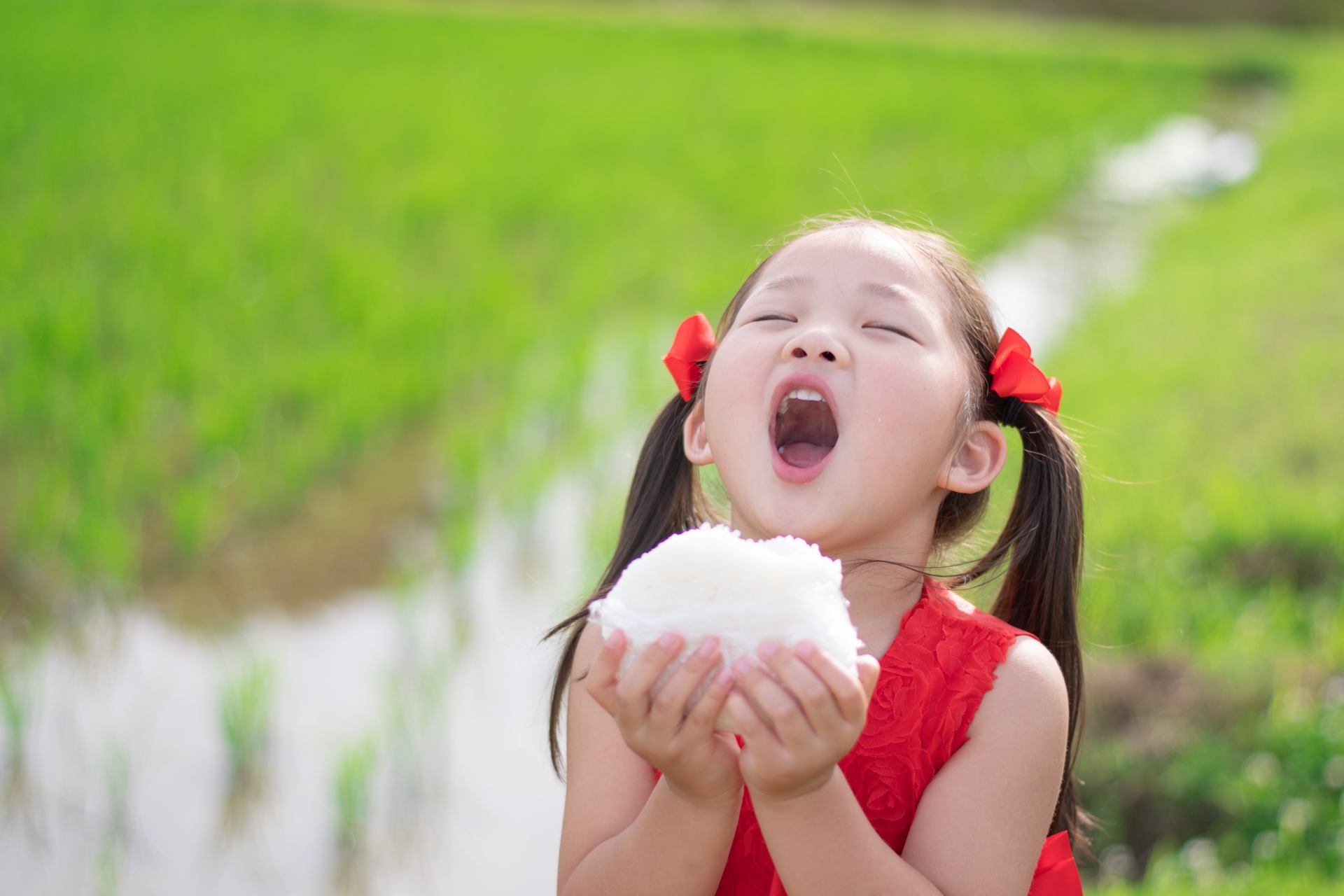 【食の大切さ・自然の大切さを学べるイベント】収穫米2キロがもらえます。【田植え体験】参加者募集中！