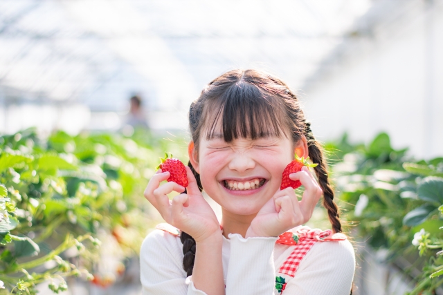 【予約受付中】いちご収穫＋パフェ作りが楽しめる！春休み最後のご褒美に自分だけの特製パフェを堪能しよう★【4月5日/あいとうマーガレットステーショーン】