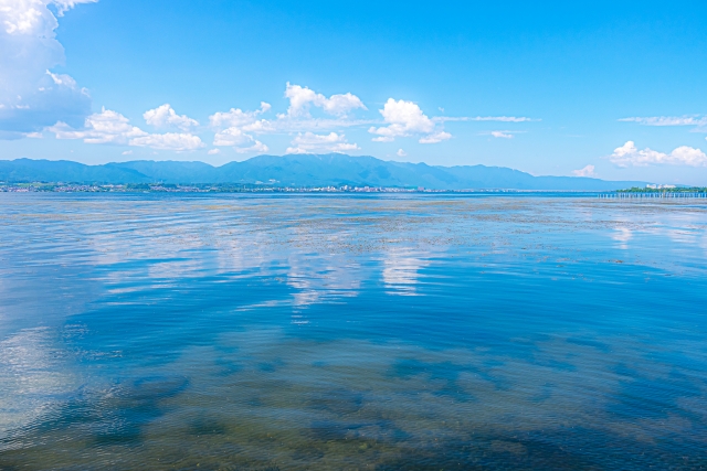 【参加無料】さかなつりゲームでびわ湖を楽しく学ぼう♪彦根市「湖岸緑地 南三ツ谷」で親子イベント開催！当日受付OK！【4月29日】