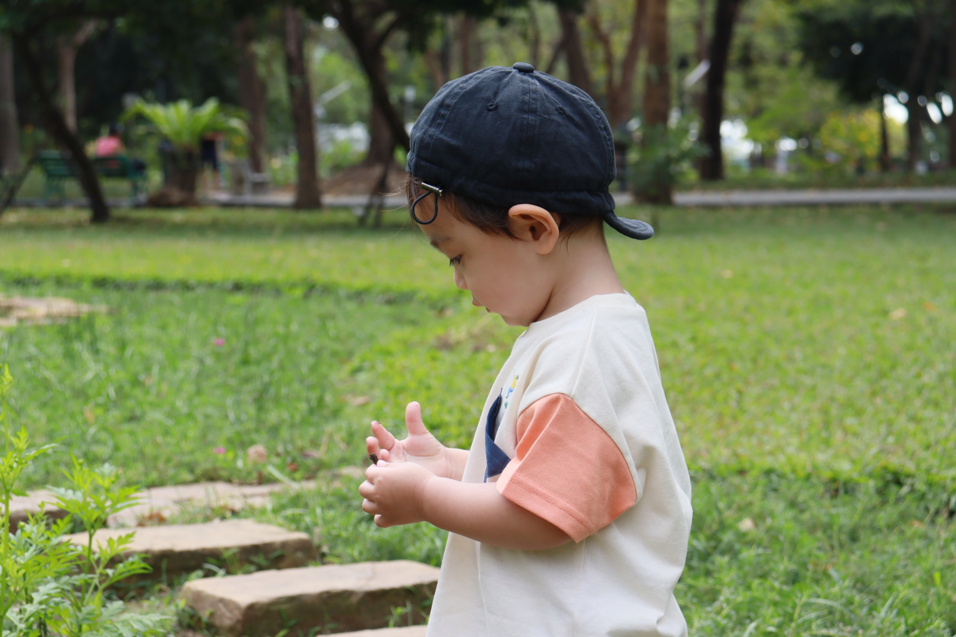 普段入れないラコリーナの棚田エリアを散策して里山の魅力にふれよう！【2026年ラ コリーナ棚田散策と寄せ植えワークショップ】