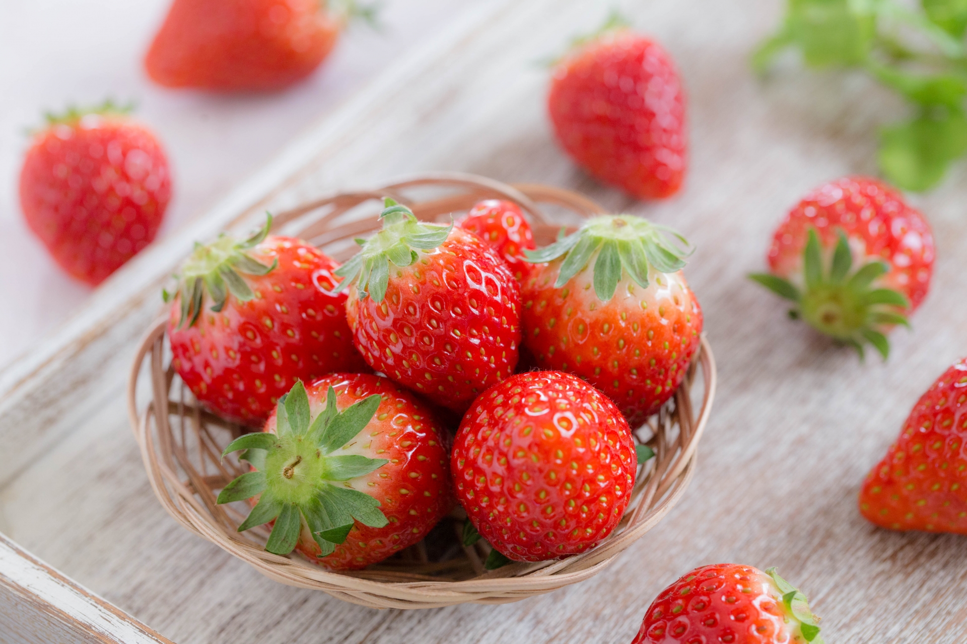 ＼白いちごの「ミルキーベリー」と、赤いちごの「とちあいか」を収穫しよう！／3/21【春のごほうび♪ 紅白苺狩り体験】ビバシティ彦根にて開催★