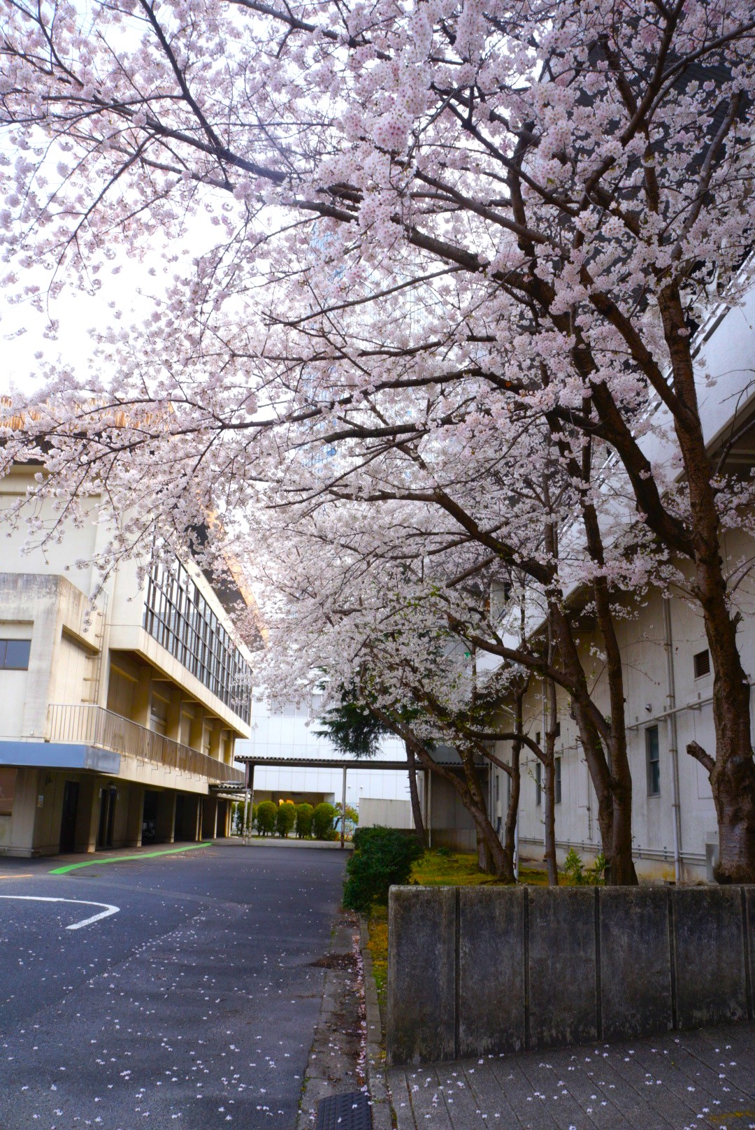 閉館ファイナルイベント無料開放＆来場プレゼント!すべて無料で珍しい体験＆遊びを楽しもう♪キッチンカーも!【3/21(土)29(日)】ウカルちゃんアリーナ(滋賀県立体育館)55年の感謝を込めて