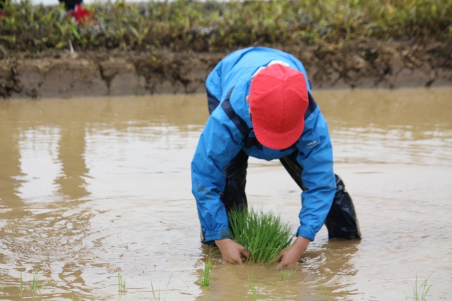 動物広場が入園無料に♪アグリパーク竜王で「田植え体験」開催☆炊き込みご飯＆唐揚げの昼食付き♪