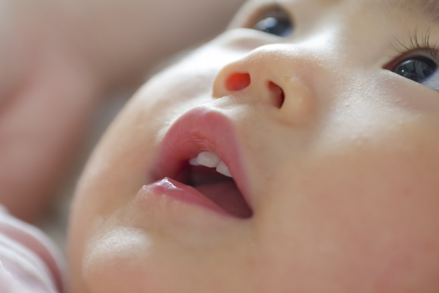 【参加無料】虫歯0の健康なお口に育てたい!正しいお口ケアを学べる♪相談もOK☆【4/17・5/20】親子イベント 初めてセミナー 歯がはえてきたら【野玉歯科医院】