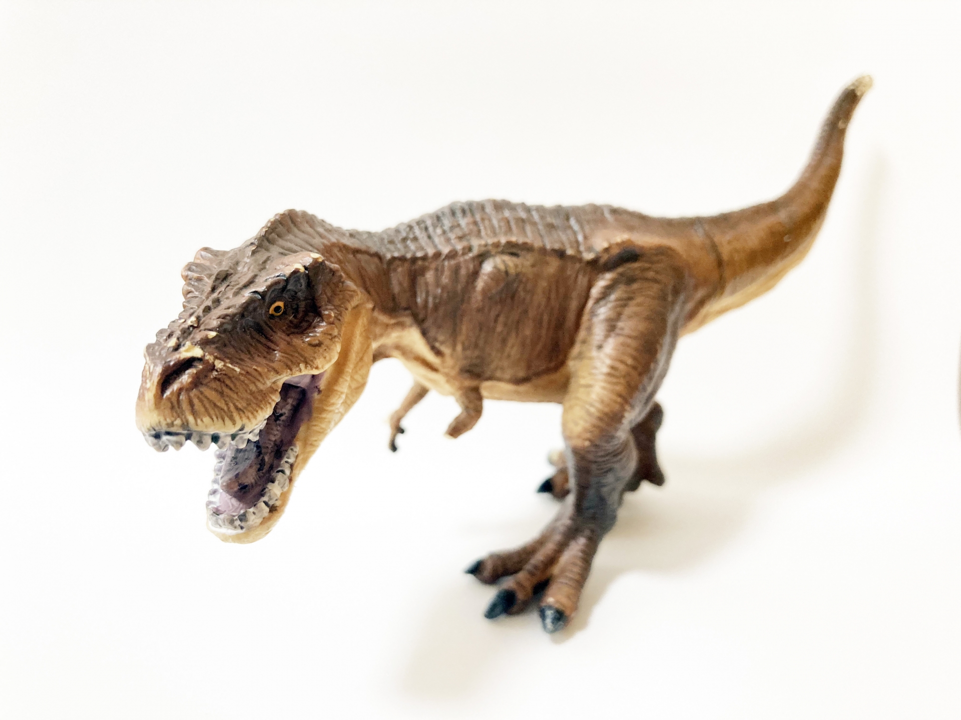 【週末のお出かけに♪】化石の発掘、化石レプリカ作り、恐竜たまご釣りなど楽しいコーナーがいっぱいのファミリー向けイベント【あそべぇる恐竜ランド】。　