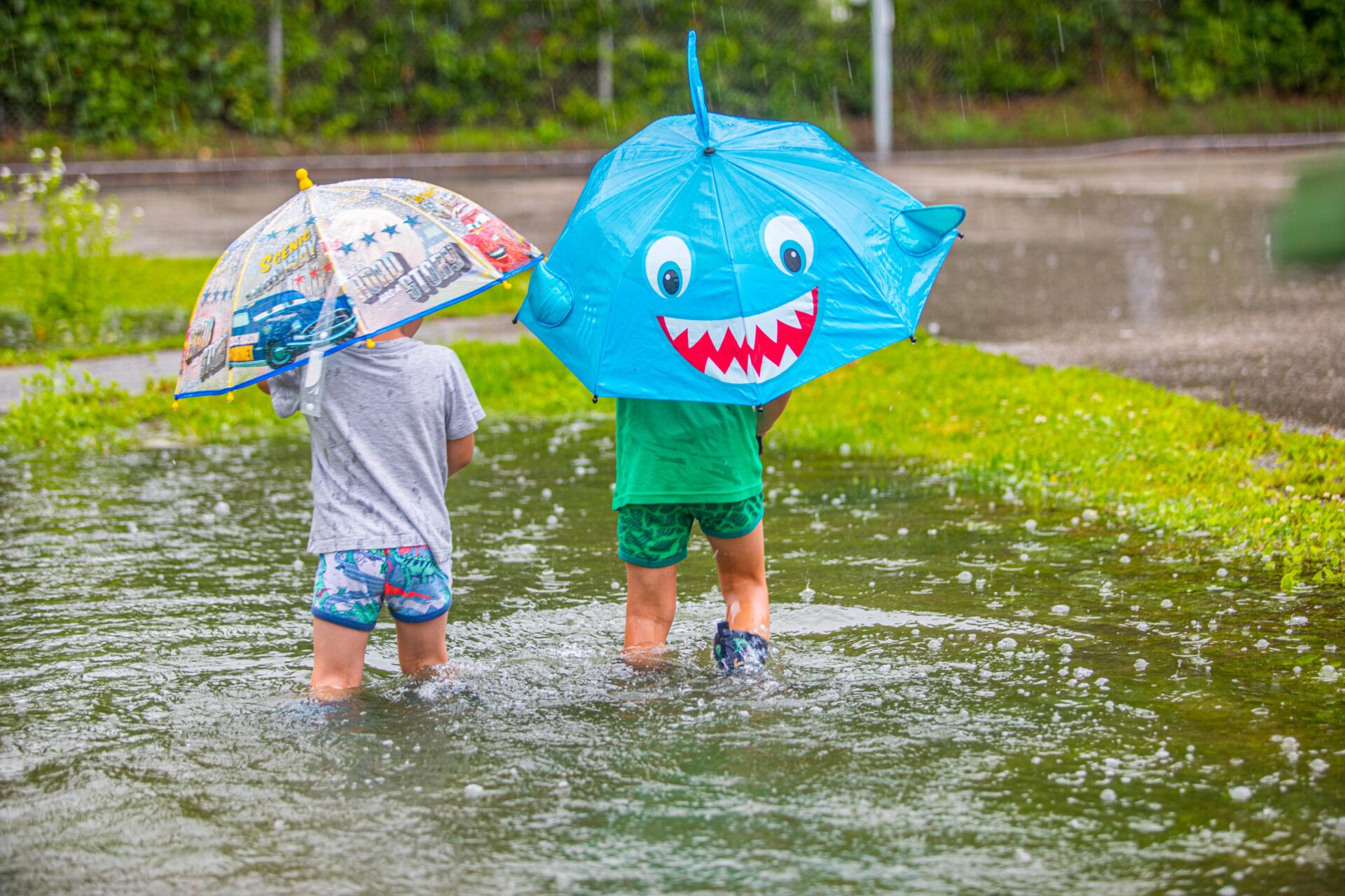 【5/31】世界にひとつだけ！？組み立ててデザインしてオリジナルの傘を作ろう♪〈フォレオ大津一里山〉