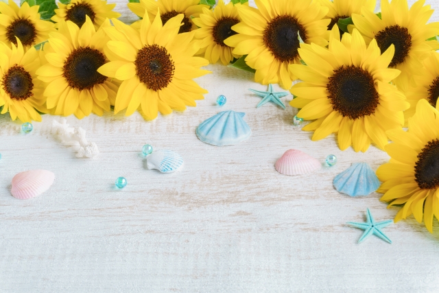 【大戸屋】初の夏福袋が6月5日予約開始！3000円で3300円分のクーポン＆鳥獣戯画コラボ限定グッズが詰まった数量限定サマーバッグ★